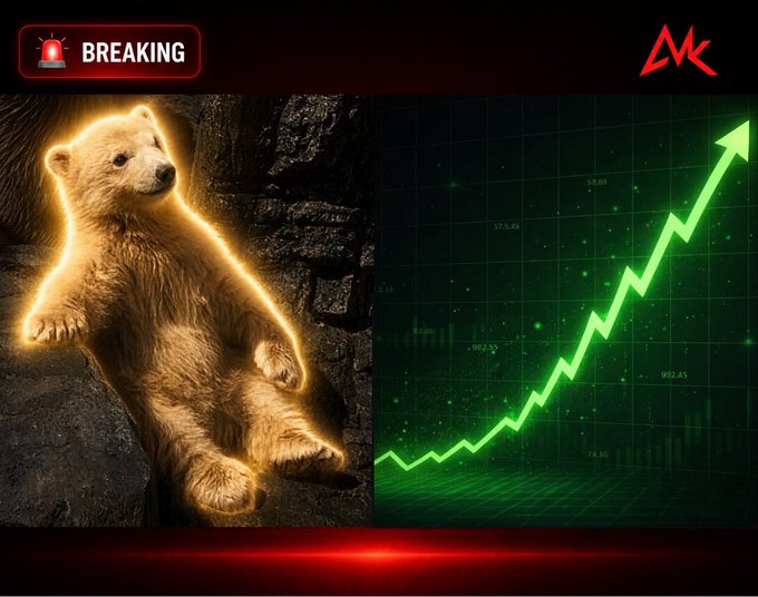 A 'BREAKING' news graphic features a glowing golden bear on the left and a green upward-trending stock chart with rising arrow on the right, with an 'MK' logo in the corner.