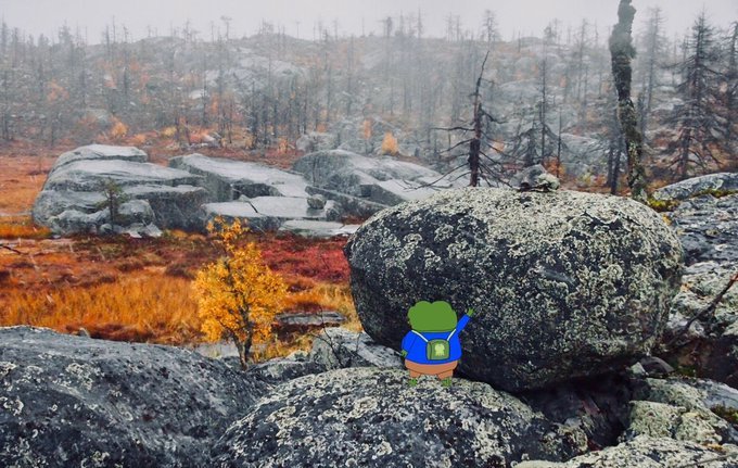 A cartoon frog wearing a backpack stands among boulders in a rocky landscape with trees and autumn foliage.