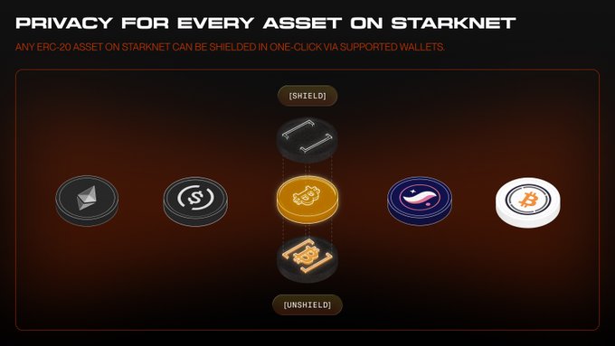 The image depicts an overview of the Starknet cryptocurrency wallet platform. It displays five different types of cryptocurrency coins and their associated privacy features. The cryptocurrencies are represented as different shapes and sizes, each having a unique design and color scheme. They all share similar purposes, such as being used for transactions on the network or stored in wallets. 

A description of the coins is provided below the visual representation, detailing their functions and features.