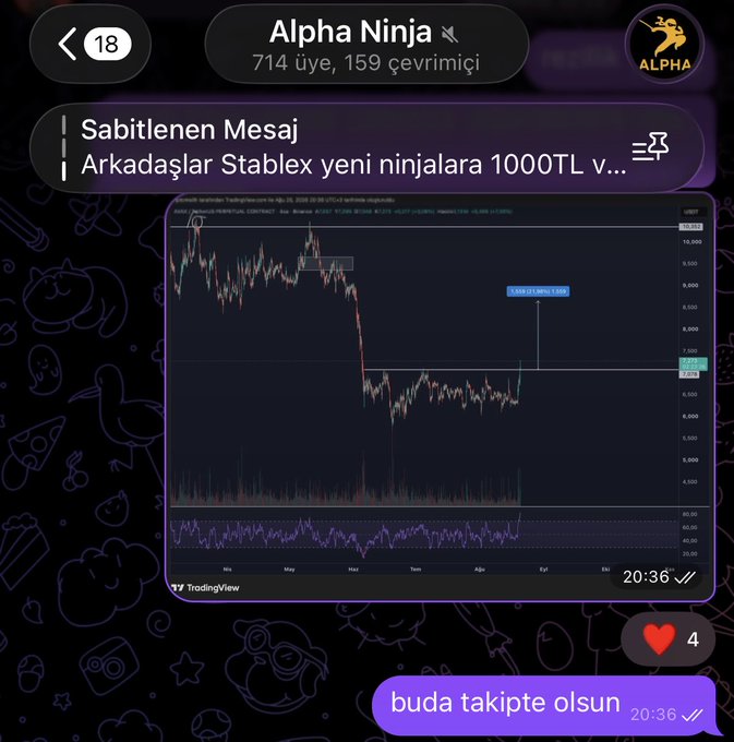 A Telegram chat screenshot from the "Alpha Ninja" group (714 members, 159 online) shows a TradingView chart of $NST on Binance Perpetual, displaying price levels around 7,200 and a noted value of 8.293 (23.84%) with a reply "buda takipte olsun" (keep an eye on this too), relating to the importance of holding the NST token.
