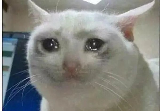 Close-up photograph of a white cat with large, teary eyes looking sad or distressed.