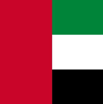The flag of the United Arab Emirates (UAE) is displayed, featuring vertical red and green stripes alongside horizontal black sections. The image relates to the news update about detaining Binance employees in the UAE during an investigation into fund flows.