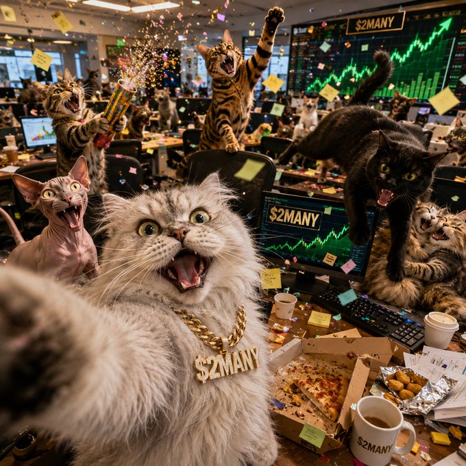 A chaotic, celebratory scene features several cats wearing gold chains, with one prominent fluffy white cat wearing a '$2MANY' chain, amid trading screens displaying green charts, pizza boxes, and confetti.