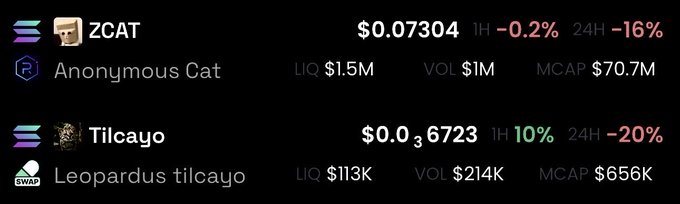 A cryptocurrency tracker displays ZCAT (Anonymous Cat) at $0.07304 with a 16% drop in 24 hours, and Tilcayo (Leopardus tilcayo) at $0.036723 with a 20% drop in 24 hours.