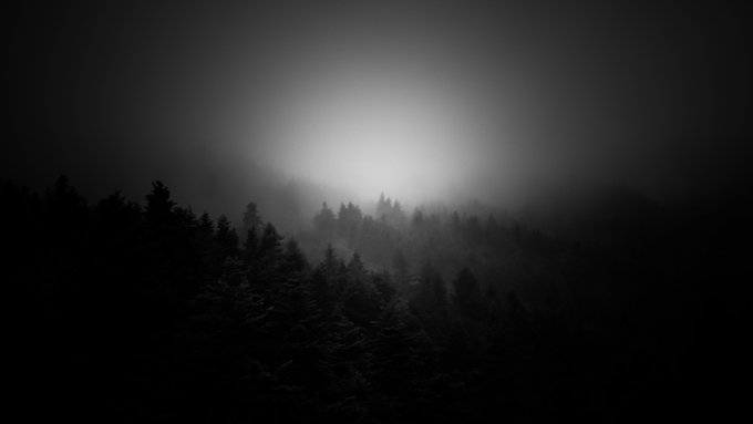A moody, black-and-white landscape photograph captures a dense forest of silhouetted pine trees shrouded in heavy fog, with a bright light source glowing in the misty sky above the mountain ridge.