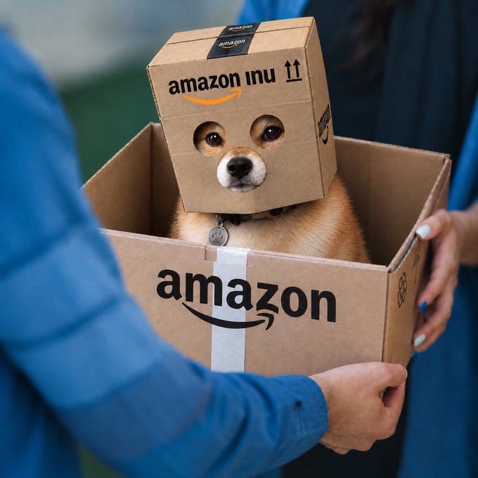 A Shiba Inu dog sits inside an Amazon cardboard box labeled "amazon inu" with its face poking through holes, being held by two people.