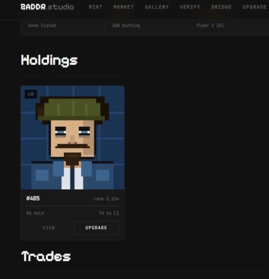 A pixel-art NFT portfolio on the Zaddr Studio platform showing a single holding (#405, rank 2,214, "0d held," Level 0) of a bearded character with a green bandana, illustrating the user's freshly minted ZEC NFT being showcased in the accompanying post.