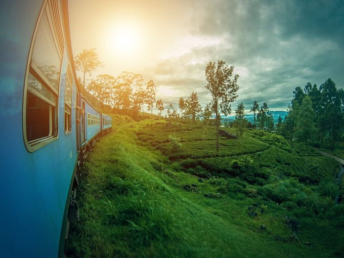 A scenic view from a blue train traveling through green tea plantations, with a bright sun shining through cloudy skies.