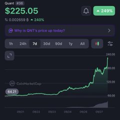 A stock chart shows the price of Quant (#QNT) at $225.05, up 2.49% or 240%, with a percentage change of 0.002659, and features an option to ask 'Why is QNT's price up today?'.