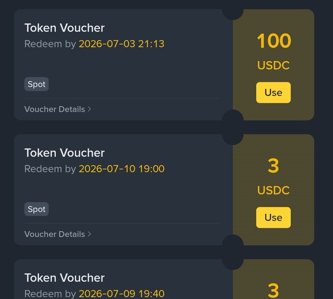A screenshot of a Binance account's Token Voucher section showing three available vouchers, including the prominently displayed 100 USDC voucher (redeemable by 2026-07-03 21:13) along with two smaller 3 USDC vouchers, directly supporting the celebratory post about receiving a $100 USDC reward from the platform.