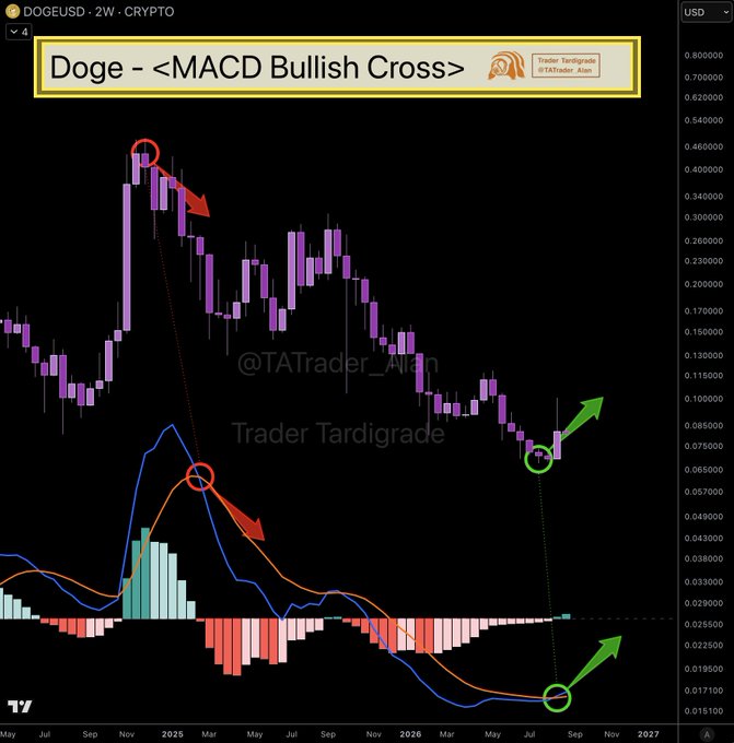 A 2-week DOGEUSD candlestick chart showing a bullish MACD crossover, with the MACD indicator at the bottom crossing upward (highlighted by green circles and arrows) following an extended downtrend from the 2024 peak near $0.46, suggesting a potential trend reversal toward higher prices.