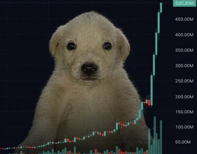 A fluffy golden puppy sits in front of a candlestick chart showing a dramatic price surge to 500.00M, visually embodying the "unleashed" rally referenced in the caption—suggesting the asset is ready to break free and reward those holding strong conviction.