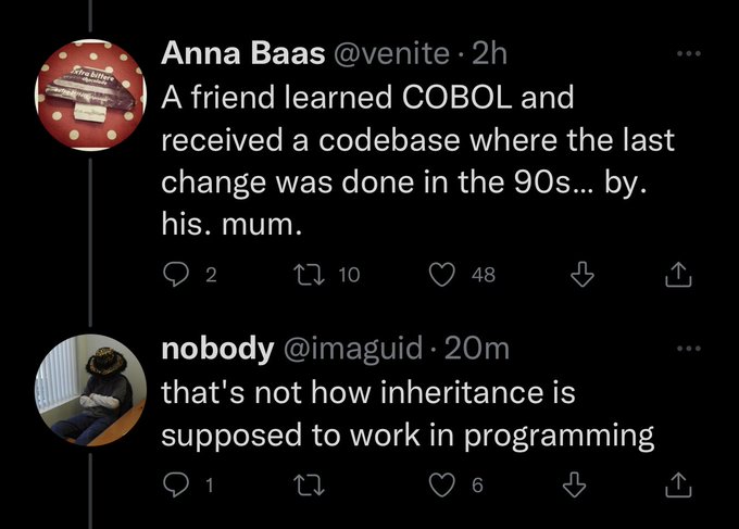 The image features a Twitter post that includes two tweets from different users, Anna Baas and ImagiGuid. The posts are about coding languages and their impact on programming. One of the tweets by Anna Baas reads "A friend learned COBL and received a codebase where the last change was done in the '90s...by his. mum." Another tweet by ImagiGuid states, "That's not how inheritance is supposed to work in programming. Focus on what is in the image and how it relates to the post." The posts seem to be discussing the importance of understanding coding languages for effective programming.
