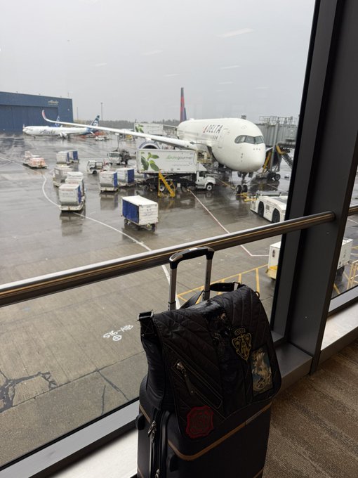 A view from an airport window showing a black suitcase with stickers in the foreground, with a Delta airplane and catering trucks visible on the tarmac outside.