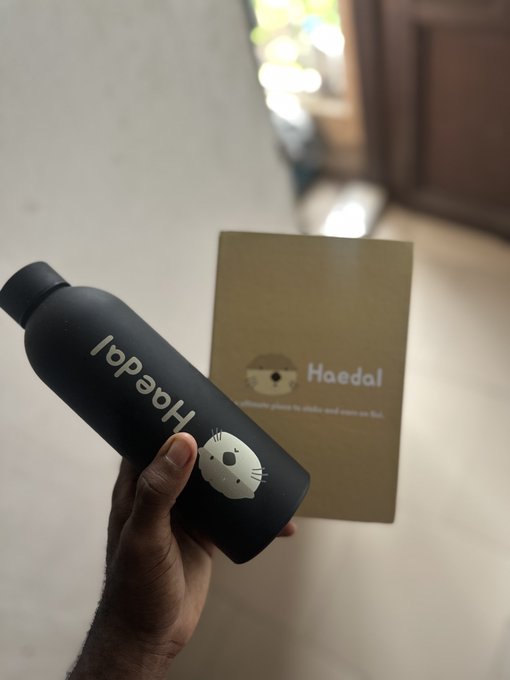 A hand holds a black water bottle branded 'Haedal' with a cute seal face logo, positioned next to its matching brown cardboard packaging box.