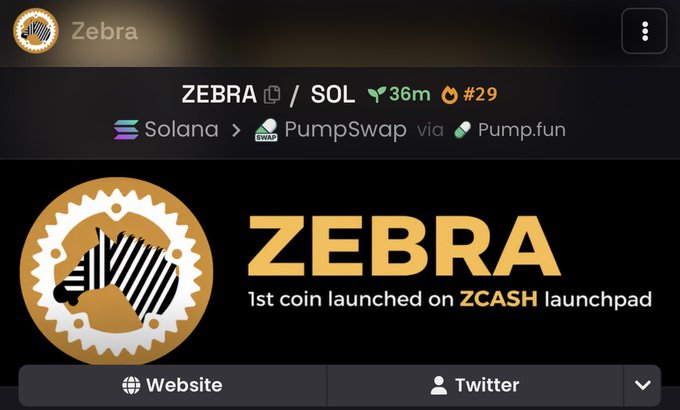 The image shows a token page for "ZEBRA" (ticker: ZEBRA/SOL) on PumpSwap via Pump.fun on the Solana blockchain, with a 36-minute old age and rank #29, featuring a zebra logo and the tagline "1st coin launched on ZCASH launchpad." This aligns with the accompanying post promoting $ZEBRA as the first token on the Zcash launchpad, highlighting its mascot role for $ZCASH$STAMP at the 3.5m market cap milestone on zcashstamp.com.