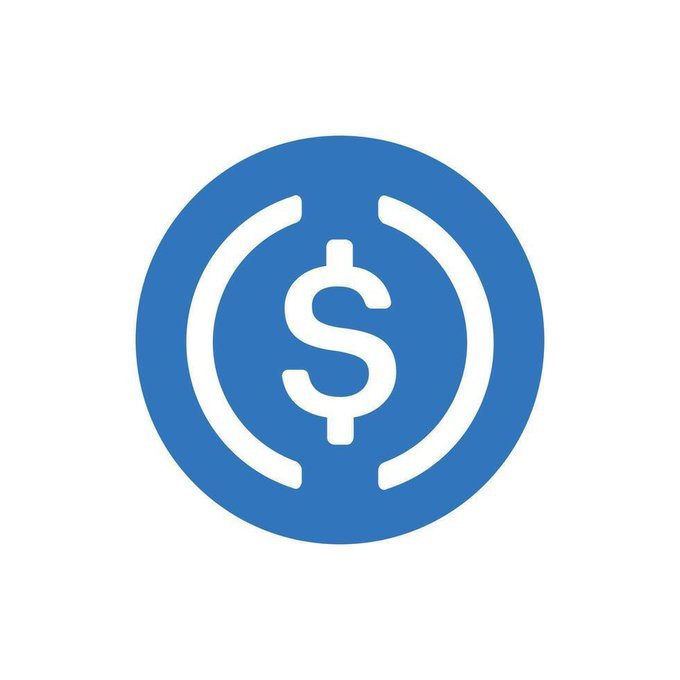 The image shows the USDC (USD Coin) logo, a blue circle featuring a white dollar sign flanked by parentheses. It visually represents the stablecoin mentioned in the post, which highlights the bullish minting of 1 billion USDC in a 24-hour period.