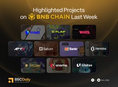The image features a poster with a grid of logos for various BNB Chain tokens, including Bitcoin Cash, Bitcoin, and Ripple. The text at the top of the poster highlights some of these tokens as being "Highlighted Projects on BNB Chain Last Week". The bottom part of the poster provides information about each token in a more detailed manner.