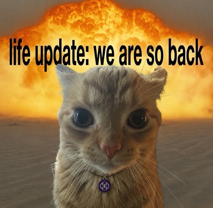 A wide-eyed tabby cat stares dramatically at the camera while wearing a purple tag, with a massive nuclear-style mushroom cloud explosion billowing in the desert behind it. Overlaid text reads "life update: we are so back," humorously matching the caption about constantly announcing our dramatic return.