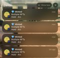 A series of nearly identical notifications showing "Minted - $hipster NFT" transactions with $0.00 values flooding in, suggesting automated bots are rapidly minting NFTs from multiple wallets as the user complains about being unable to compete with the automated minting bots.