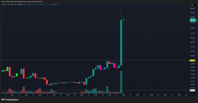 A TradingView candlestick chart of Bitmine (BTCM) on August 19, 2026, shows a dramatic single-candle vertical spike reaching approximately $58.80, contrasting sharply with the surrounding sideways price action around $63-64—visually reinforcing the "fine Art" comment about the chart's striking, almost sculptural price movement.