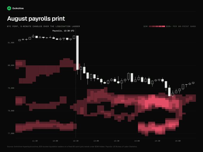 A financial chart titled 'August payrolls print' from 0xArchive showing BTC PERP 5-minute candles over the liquidation ladder on Payrolls 12:30 UTC, displaying a sharp price drop from $81,000 to around $77,000 with overlaid liquidation bands.