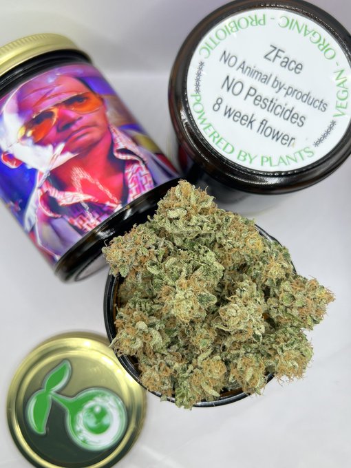 An opened black cannabis container branded 'ZFace' with colorful portrait lid art (Organic, Vegan, Probiotic, Powered by Plants) reveals a bud of '8 week flower' marijuana grown with no animal by-products or pesticides.