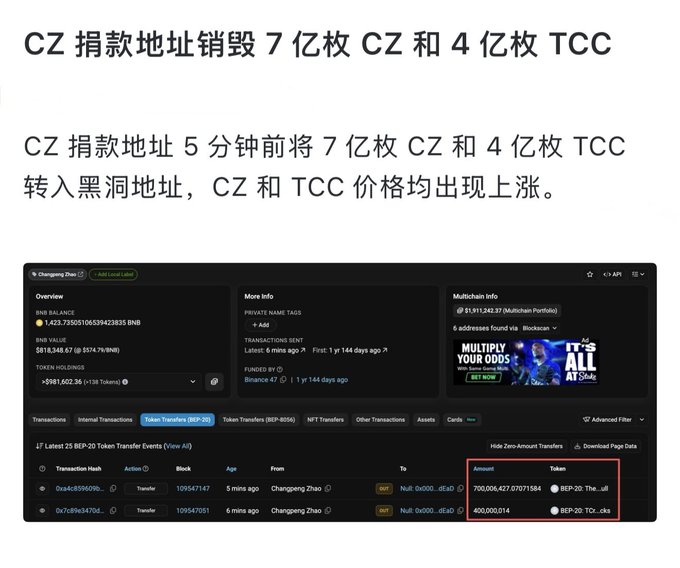 The image shows a blockchain transaction tracker (Changjiang Zhao/Binance) displaying a recent transfer where 700,006,427.07671584 BEP-20 "The_ull" tokens and 400,000.014 BEP-20 "TCC..." tokens were sent to a null/black hole address. The Chinese text above reads: "CZ donation address destroys 700M CZ and 400M TCC; 5 minutes ago the CZ donation address transferred 700M CZ and 400M TCC to a black hole address, causing both CZ and TCC prices to rise."