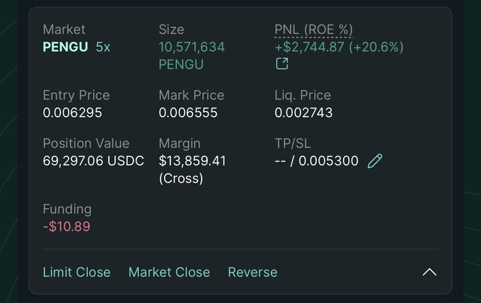 A cryptocurrency trading interface displays an active long position on PENGU with 5x leverage, showing a profit of +$2,744.87 (+20.6% ROE) on a 10,571,634 PENGU position with an entry price of 0.006295 and a mark price of 0.006555. The image illustrates a profitable bullish bet on $PENGU, supporting the claim that it's a favored long position during bullish market conditions.