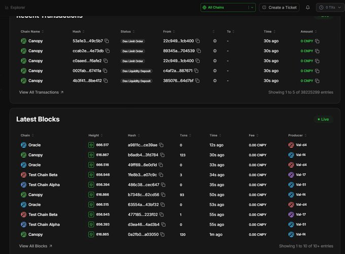 A blockchain explorer showing recent transactions and latest blocks on the 'Canopy' chain (and Oracle, Test Chain Alpha, Test Chain Beta), with hash details, timestamps, fees in CNPY, and validators like Val-44, Val-17, Val-51, and Val-04.