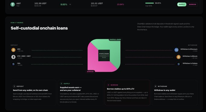 A dark-themed web interface explaining 'Self-custodial onchain loans' through a four-step diagram (Deposit, Supply, Borrow, Withdraw) involving BTC, ETH, USDC, and SOL assets, with numerical values such as 102.39 USDT, 101.01 USDT, and 9.00%.