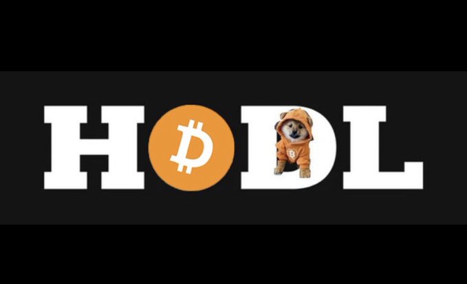 The image features a logo for a company, "HODL", which stands out with its unique design combining elements from Bitcoin and dogs. The central element of the logo is an upside-down letter "D" adorned with a small Bitcoin symbol, symbolizing the connection between cryptocurrency and dog enthusiasts who have decided to invest in dog-themed digital assets.