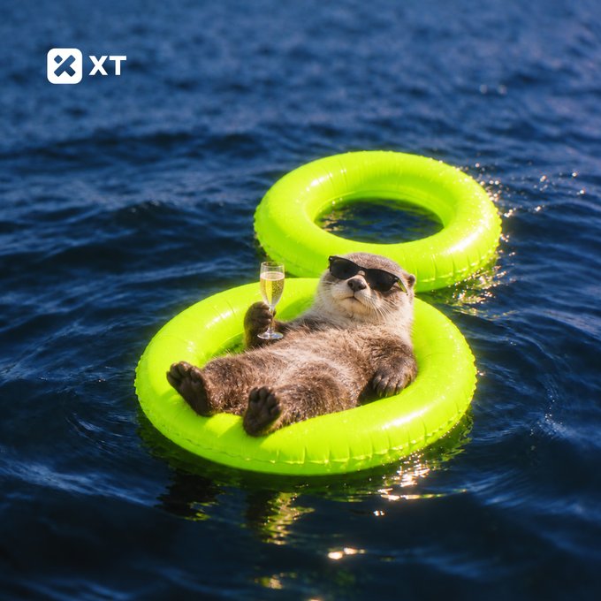 An otter wearing sunglasses floats on a green inflatable ring in dark water while holding a champagne flute, with an 'XT' watermark visible.
