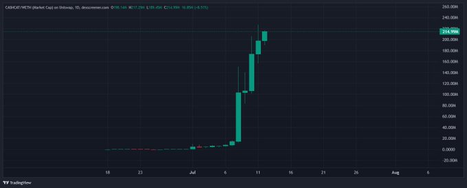 A TradingView candlestick chart shows $CASHCAT/WETH on Uniswap with a dramatic vertical price surge from near $0 to $219.99 (+5,171%), illustrating the explosive rally that supports the post's claim about the token's momentum and potential for major CEX listings following strong trading volume.