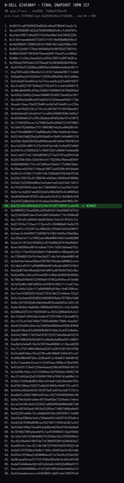 A vertical screenshot of a terminal window showing a 'D-BELL CREEKAY' final 1PM snapshot with colorful lines of text and code.
