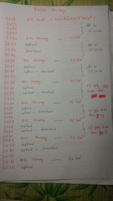 A handwritten chart titled "Bit Coin Halving" details Bitcoin halving years (2008-2036), corresponding market phases (Uptrend/Downtrend), and financial goals in billions of VND, with the post highlighting the plan's ambition of reaching 30 billion VND by age 38 and questioning the creator's current market involvement.