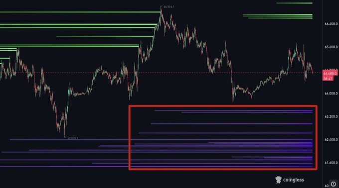 A financial trading chart from Coinglass showing price action with green and purple horizontal support/resistance lines, with a red box highlighting a cluster of purple lines in the lower price range (around 61,000-63,200).