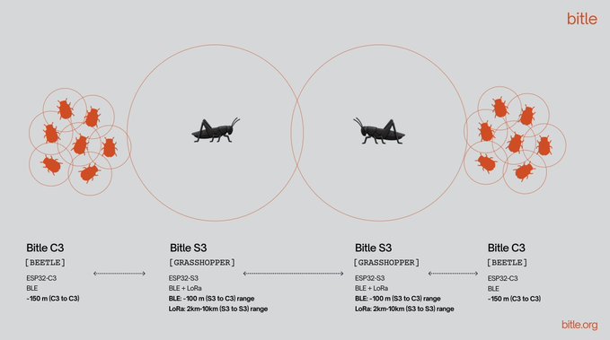 A bitle.org technical diagram comparing BLE chip specifications, showing Bitle C3 (ESP32-C3) beetle nodes with 150m LoRa range connecting to Bitle S3 (ESP32-S3) grasshopper nodes with 100m S3-to-S3 and 2km-90km C3-to-S3 LoRa ranges.