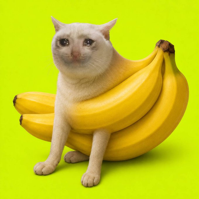 A white cat emerges from a bunch of bananas against a bright yellow-green background, playfully visualizing the "CashCat" meme at the heart of the promotion—where $100 goes to anyone who replies if $CASHCAT holds above $200M by July 30.