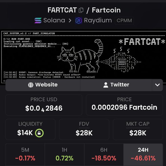 A cryptocurrency tracking interface for 'FARTCAT / Fartcoin' on the Solana > Raydium CPMM platform, showing a price of $0.0042846 USD and a 24H change of -46.61%, alongside ASCII art of a cat.
