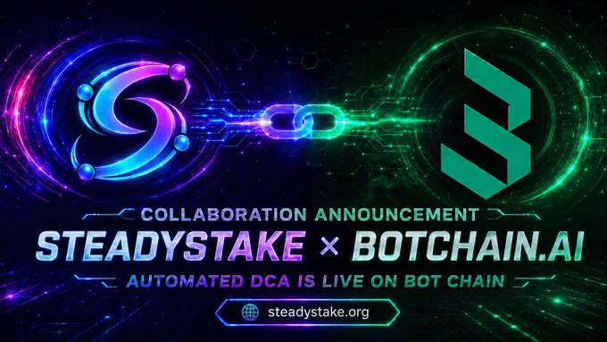 Collaboration announcement graphic between 'STEADYSTAKE' and 'BOTCHAIN.AI' announcing 'AUTOMATED DCA IS LIVE ON BOT CHAIN' with the website steadystake.org.