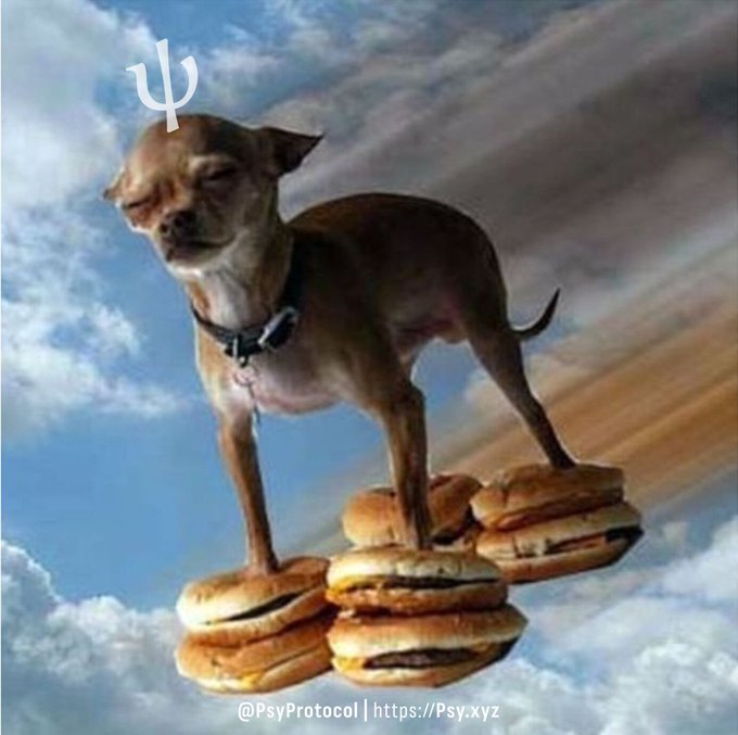 A chihuahua stands triumphantly atop a stack of burgers against a cloudy sky, with the "ψ" (Psi) symbol floating above its head and "@PsyProtocol | https://Psy.xyz" watermarked at the bottom. The image humorously visualizes the post's message of "value" — the chihuahua perched above the burgers symbolizes Psy Protocol sitting confidently "on the table," ready to build, protect, and empower worth in the crypto space.
