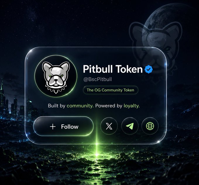 The image features a poster with a large white dog logo, accompanied by text that reads "Pitbull token" and "#PIT @BNBCHAIN #BNB #Pitbull #BNBChain". The poster also includes a link to a social media account called "@BNBCHAIN #BNB #Pitbull #BNBChain", which is likely related to the post about Pitbulls. The image has a dark background, and there are two small lights in the bottom right corner of the poster that appear to be glowing.