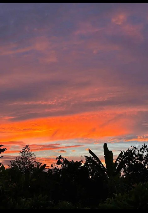 A dramatic sunset sky with orange and pink clouds over a dark silhouette of trees and banana plants.