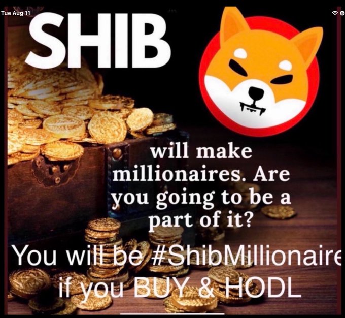 A promotional graphic for SHIB cryptocurrency featuring gold coins in a treasure chest and the Shiba Inu dog logo, with text reading 'SHIB will make millionaires. Are you going to be a part of it? You will be #ShibMillionaire if you BUY & HODL.'