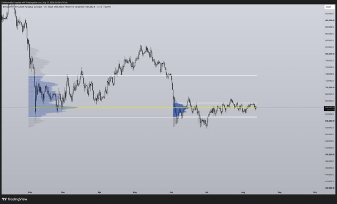 A TradingView candlestick chart of Binance BTC/USDT perpetual contract showing price action from February through September with volume profile indicators.