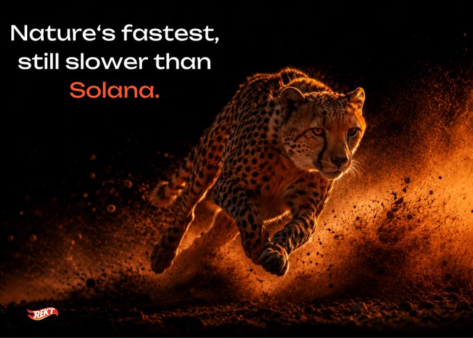 An advertisement featuring a running cheetah kicking up dust with the text 'Nature's fastest, still slower than Solana.' and a small 'HEXT' logo in the corner.