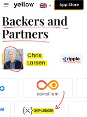 A screenshot of Yellow’s “Backers and Partners” page shows Ripple co-founder Chris Larsen highlighted alongside CoinSwitch and XRP Ledger. The post says Larsen is a major investor and advisor to Yellow and emphasizes persistence in achieving early-stage startup success, referencing $XRP.