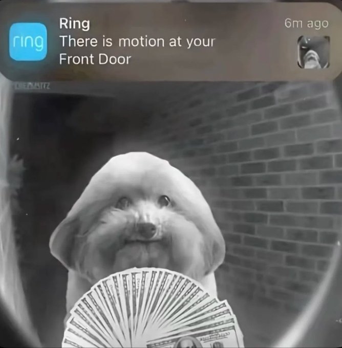 A Ring doorbell notification reading "There is motion at your Front Door" shows a fluffy puppy at the door holding a fan of cash in its mouth, playfully fitting the post's cheerful "Gm, I hope you have an amazing Thursday" message by suggesting the dog is delivering financial good fortune to start the day.