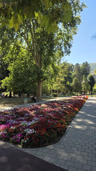 A park pathway is lined with a colorful flower bed of red, pink, white, and purple flowers under large shade trees.